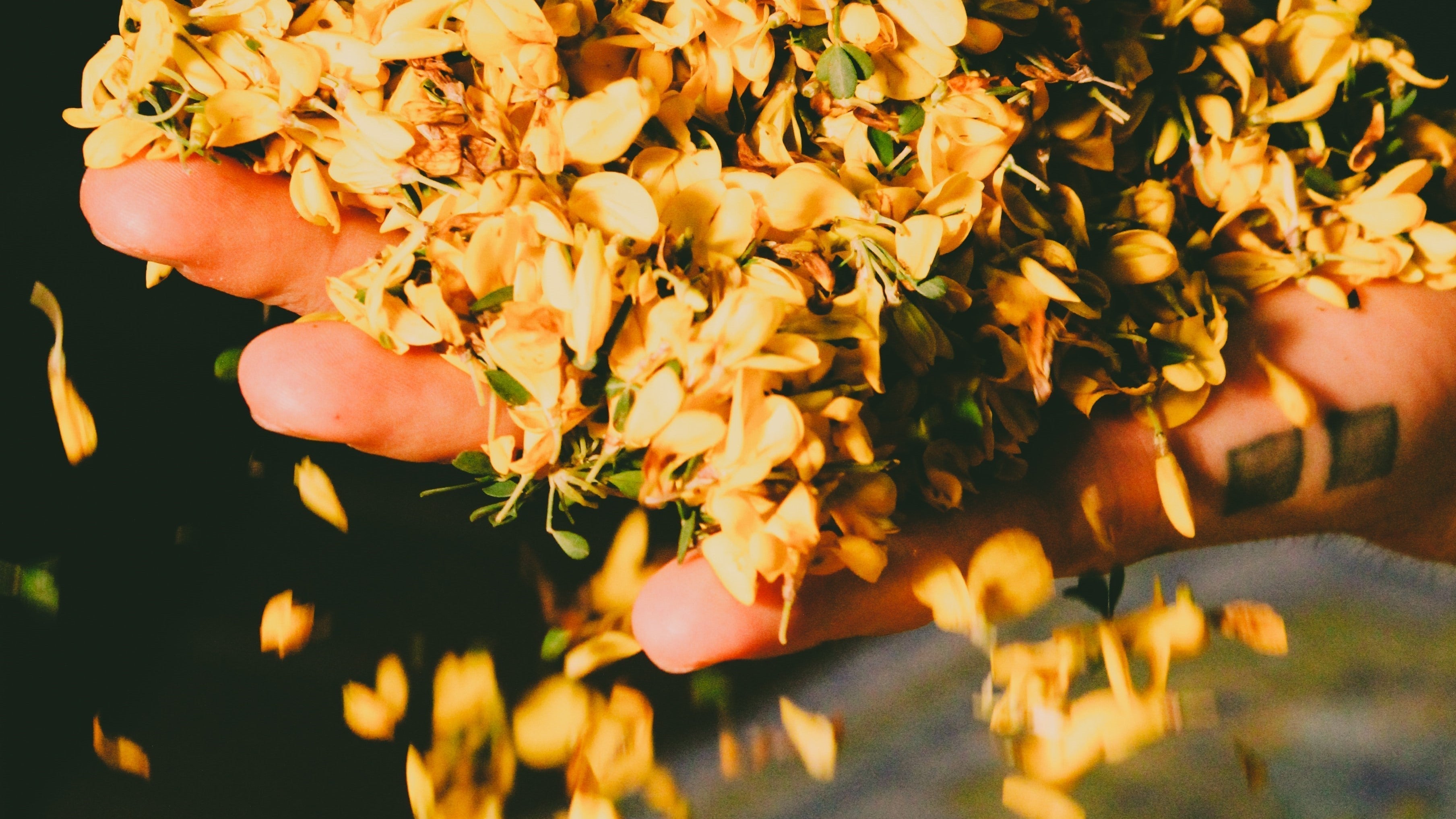 The olfactory pyramid: how top, heart and base notes work