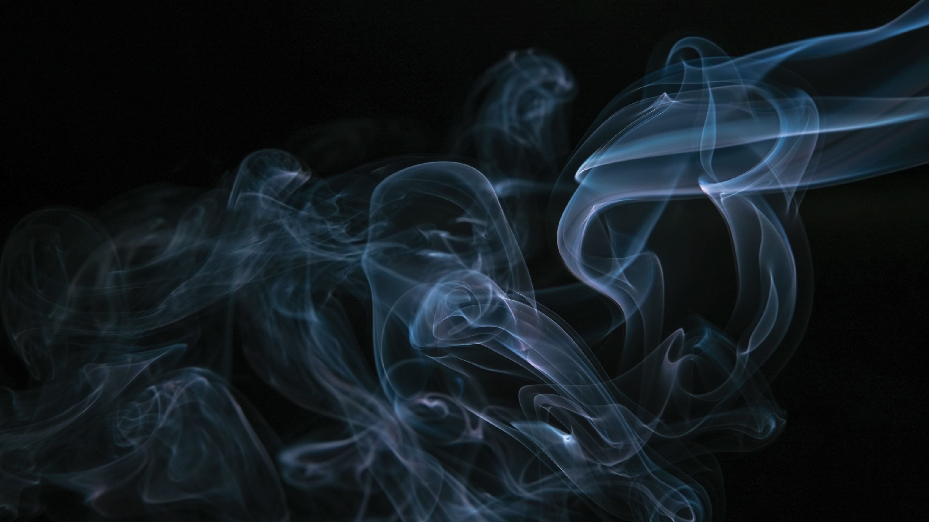 Oud Fragrance Oil - All You Need to Know