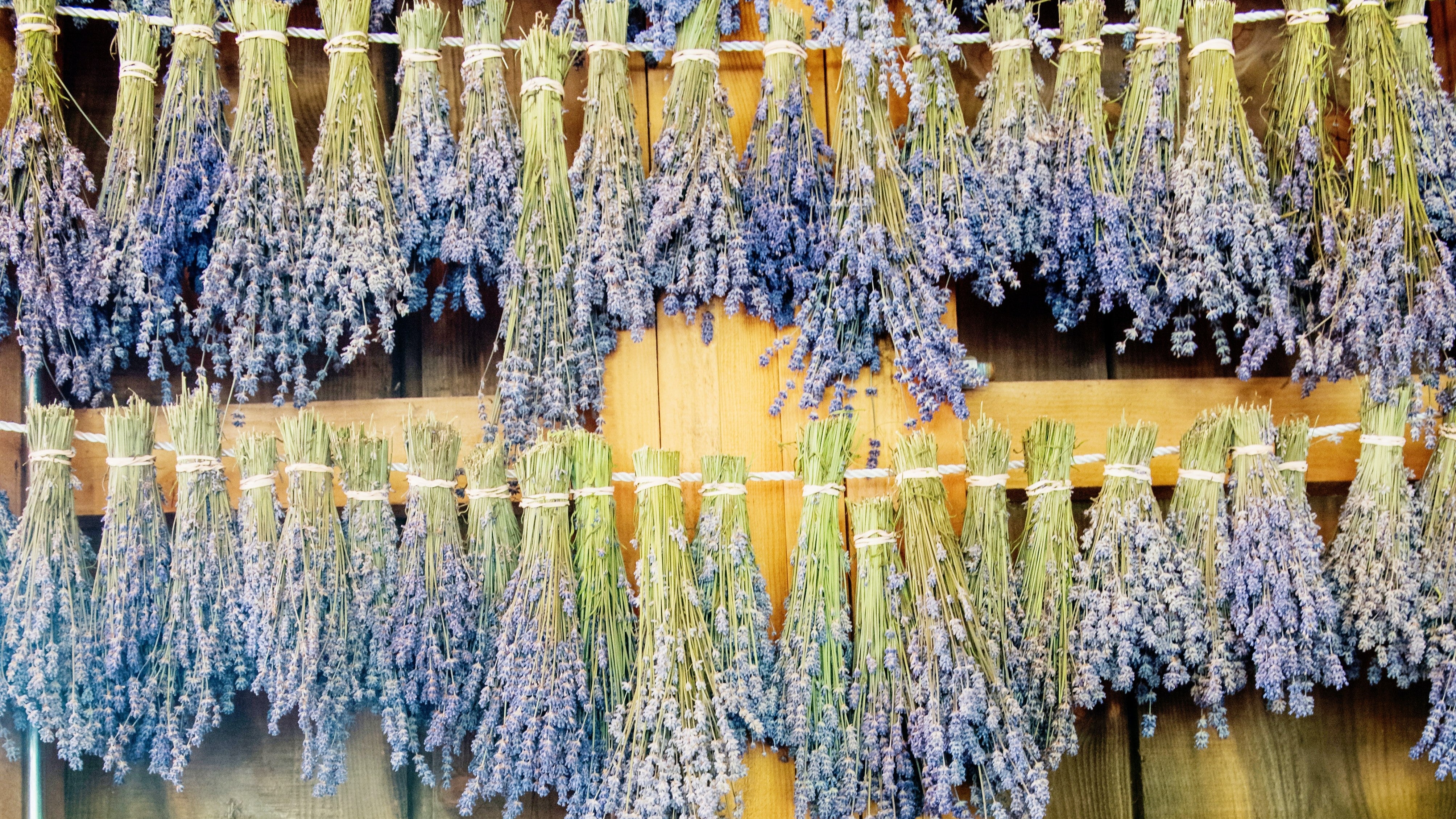 7 Fragrance Hacks to Make Your Cologne or Perfume Last Longer