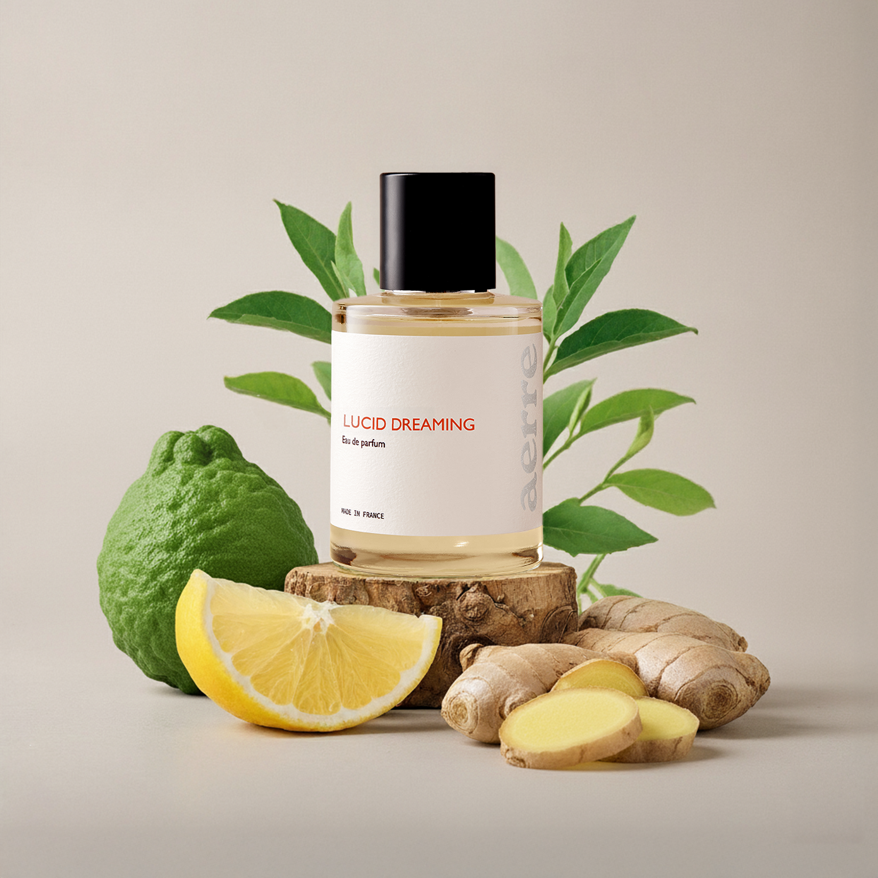 Aerre perfume bottle labeled 'Lucid Dreaming' with lemon, ginger, and green leaf elements on a neutral background