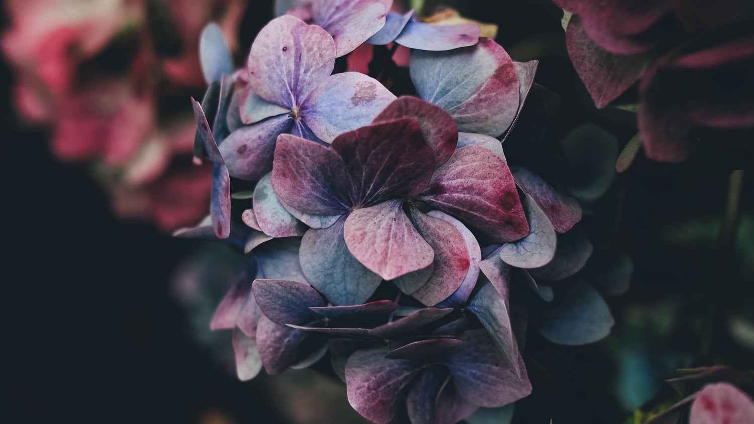 Vegan Perfume - Is my perfume vegan?