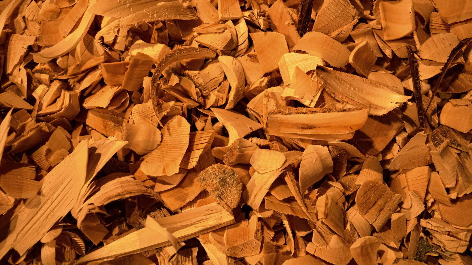 Find Your Vibe: What Does Sandalwood Smell Like?