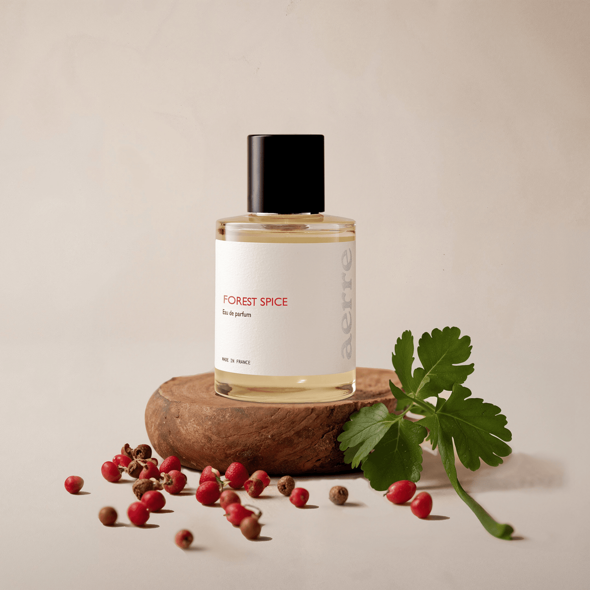 Forest_Spice_b131852e-6ba7-
